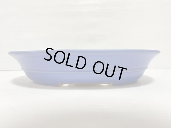 画像2: No.DA5429 黎鳳 (2)