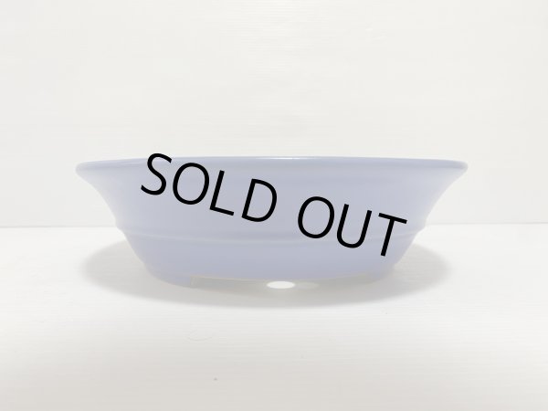 画像3: No.DA5429 黎鳳 (3)