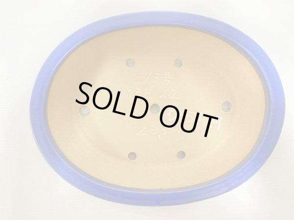 画像4: No.DA5429 黎鳳 (4)