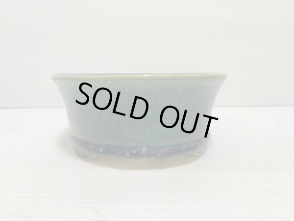 画像3: No.DA5431 黎鳳 (3)