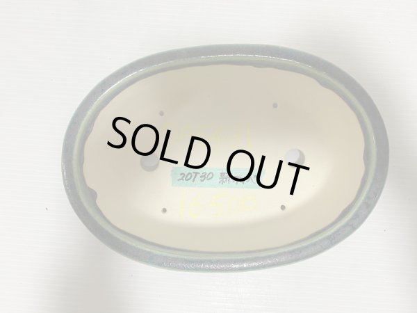 画像4: No.DA5431 黎鳳 (4)