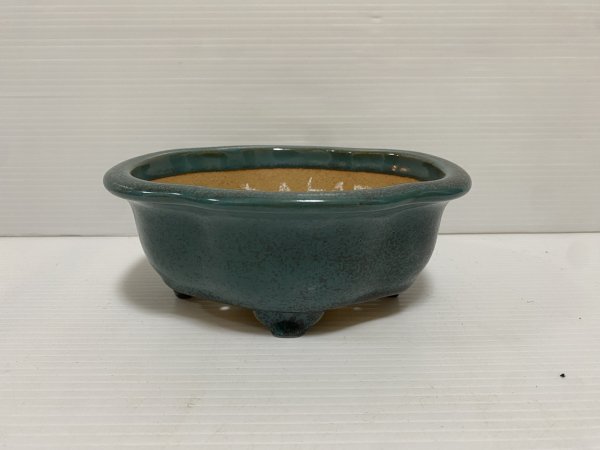 画像1: No.DA5432 黎鳳 (1)