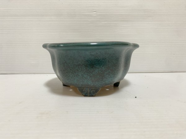 画像3: No.DA5432 黎鳳 (3)