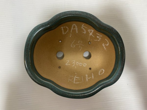 画像4: No.DA5432 黎鳳 (4)