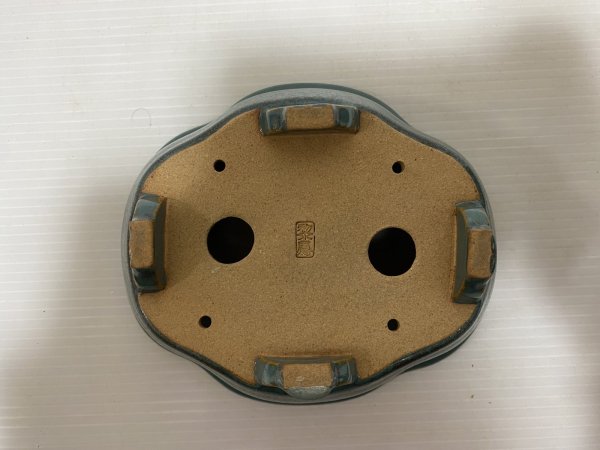 画像5: No.DA5432 黎鳳 (5)