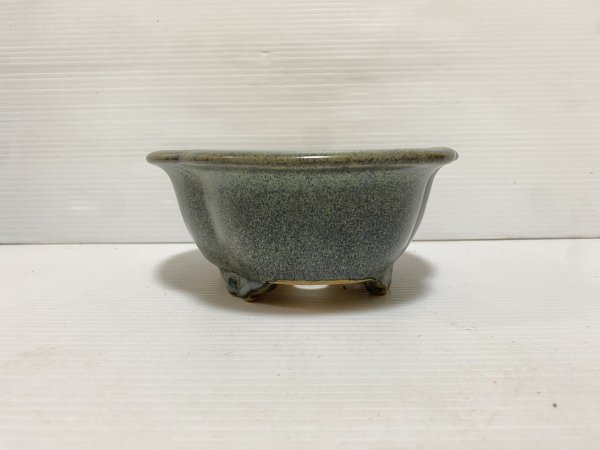 画像3: No.DA5435 黎鳳 (3)