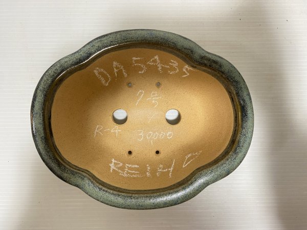 画像4: No.DA5435 黎鳳 (4)