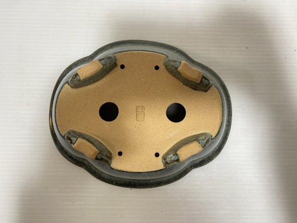 画像5: No.DA5435 黎鳳 (5)