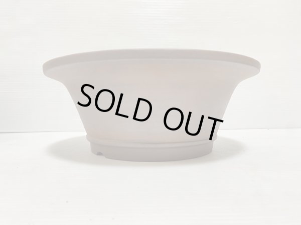 画像2: No.DA5436 黎鳳 (2)