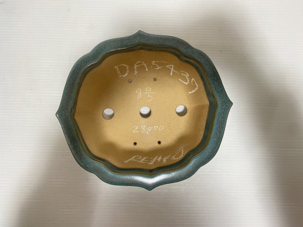 画像4: No.DA5437 黎鳳 (4)