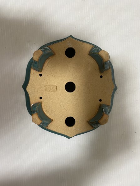 画像5: No.DA5437 黎鳳 (5)