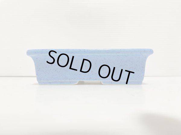 画像2: No.DA5439 鴻陽 (2)