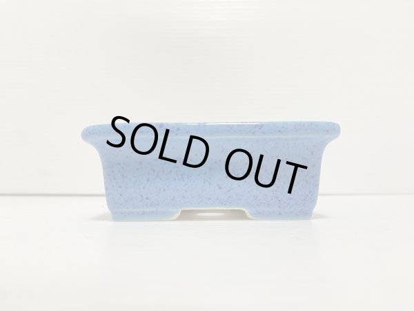 画像3: No.DA5439 鴻陽 (3)