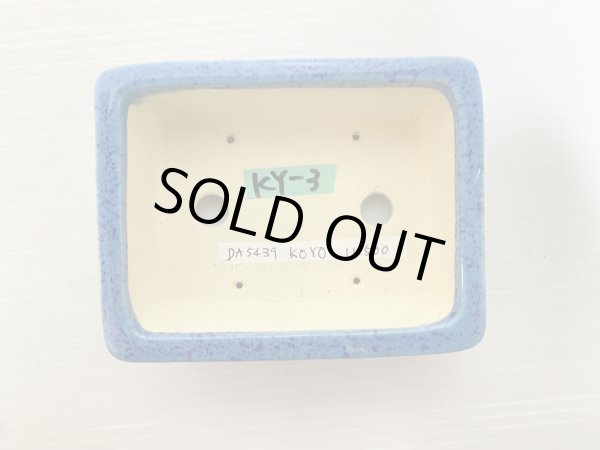 画像4: No.DA5439 鴻陽 (4)