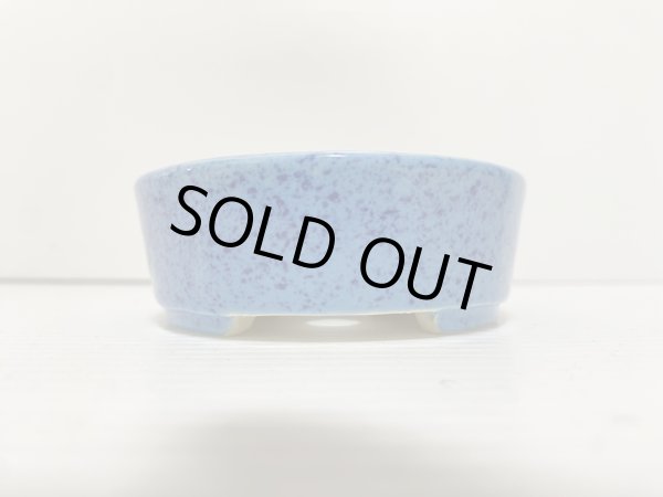 画像3: No.DA5441 鴻陽 (3)