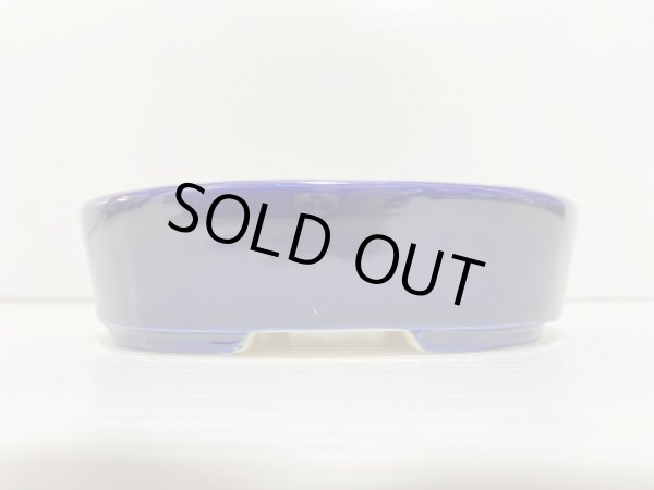 画像2: No.DA5442 鴻陽 (2)