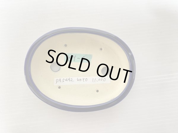 画像4: No.DA5442 鴻陽 (4)