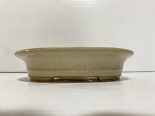 画像2: No.DA5443 黎鳳 (2)