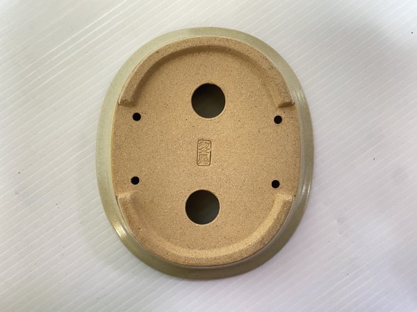 画像5: No.DA5443 黎鳳 (5)