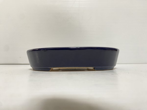 画像2: No.DA5444 黎鳳 (2)