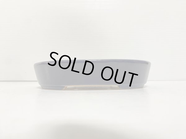 画像2: No.DA5444 黎鳳 (2)