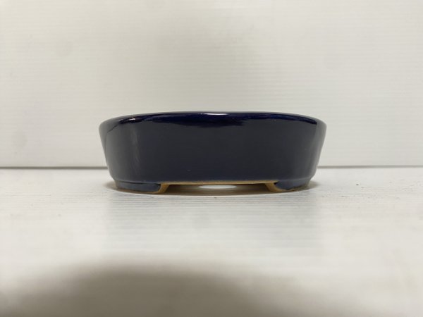 画像3: No.DA5444 黎鳳 (3)