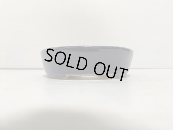 画像3: No.DA5444 黎鳳 (3)