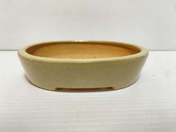 画像1: No.DA5445 黎鳳 (1)