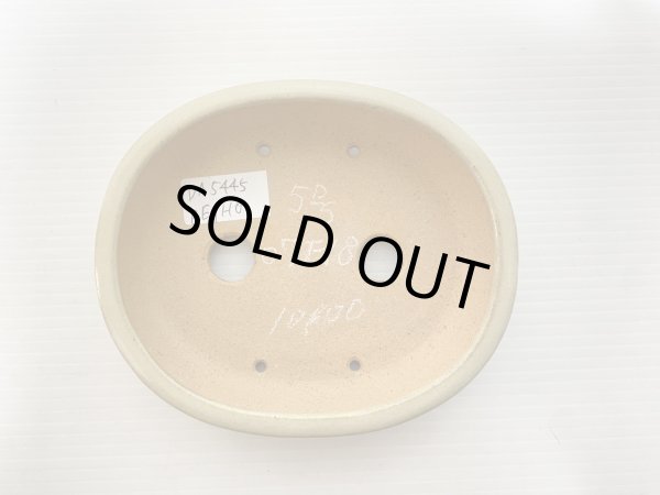 画像3: No.DA5445 黎鳳 (3)