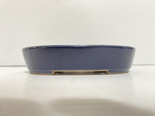 画像2: No.DA5446 黎鳳 (2)