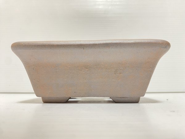 画像2: No.DA5447 黎鳳 (2)