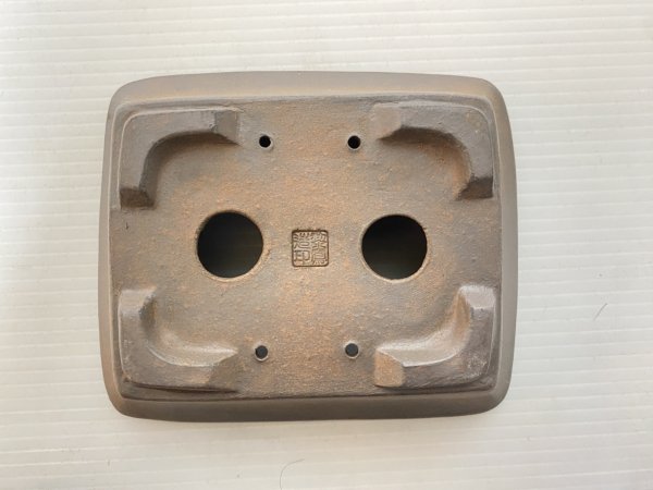 画像4: No.DA5447 黎鳳 (4)