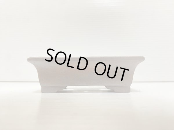 画像2: No.DA5448 黎鳳 (2)