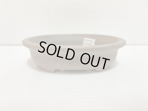 画像1: No.DA5449 黎鳳 (1)