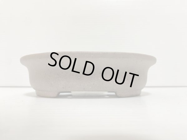 画像2: No.DA5449 黎鳳 (2)