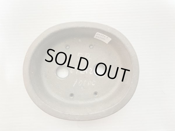 画像3: No.DA5449 黎鳳 (3)