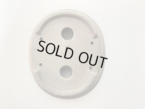 画像4: No.DA5449 黎鳳 (4)