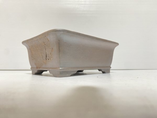 画像3: No.DA5450 黎鳳 (3)