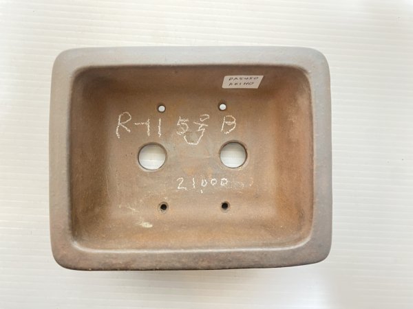 画像4: No.DA5450 黎鳳 (4)