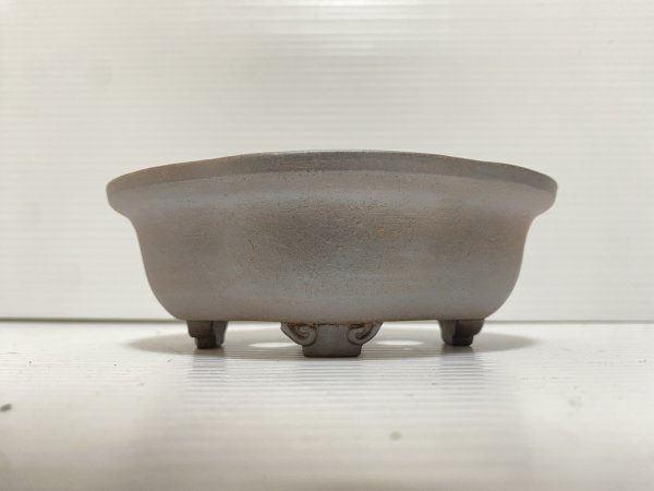 画像2: No.DA5451 黎鳳 (2)