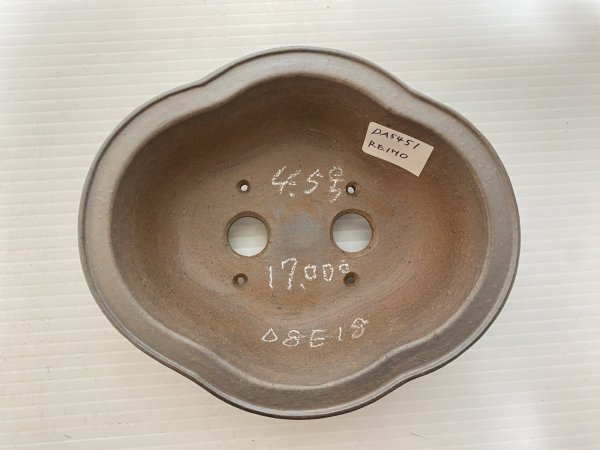 画像3: No.DA5451 黎鳳 (3)