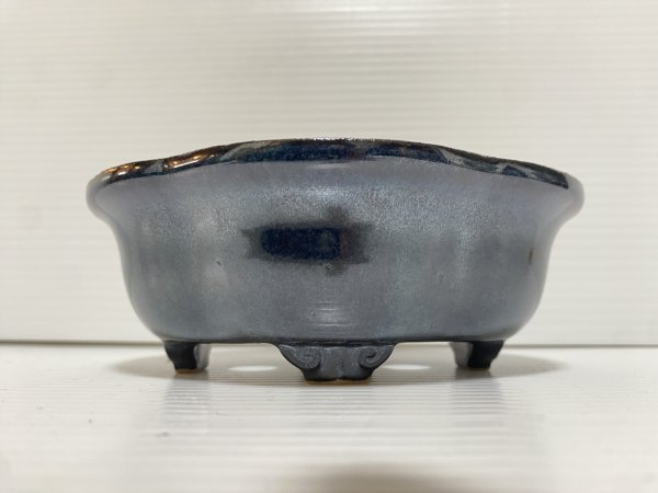 画像2: No.DA5452 黎鳳 (2)