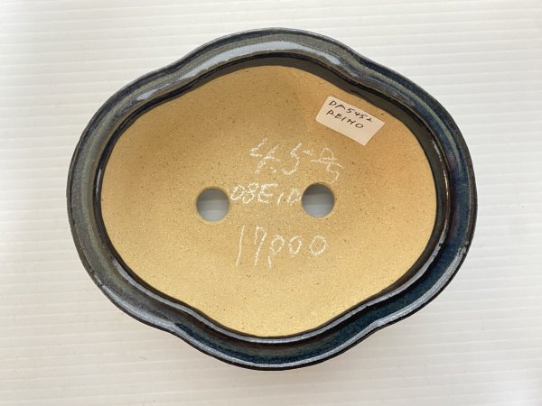 画像3: No.DA5452 黎鳳 (3)