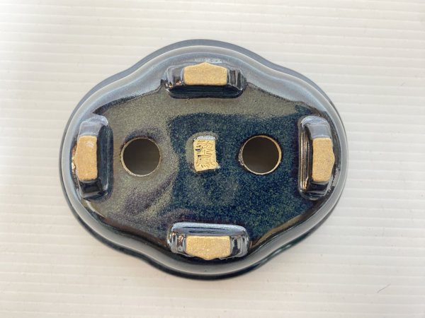 画像4: No.DA5452 黎鳳 (4)