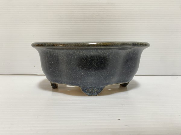 画像2: No.DA5453 黎鳳 (2)