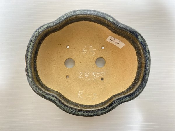 画像3: No.DA5453 黎鳳 (3)