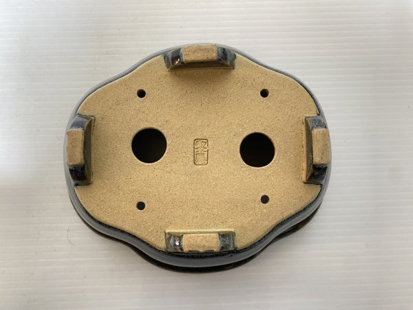 画像4: No.DA5453 黎鳳 (4)