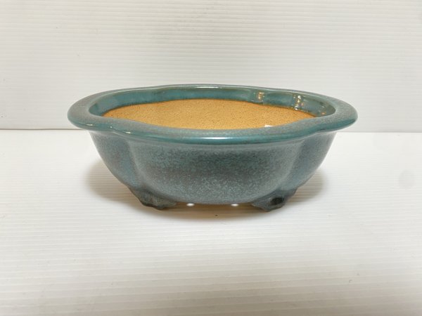 画像1: No.DA5454 黎鳳 (1)