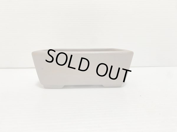 画像2: No.DA5456 黎鳳 (2)