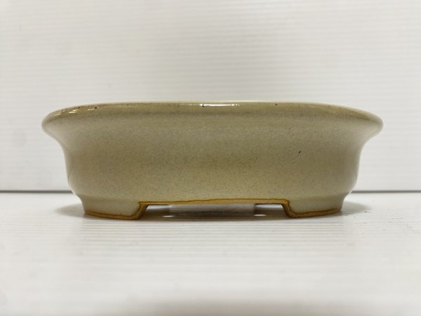 画像2: No.DA5457 黎鳳 (2)